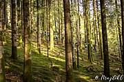 IMG_3435.jpg