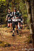 IMG_3751.jpg