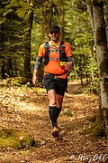 IMG_3767.jpg