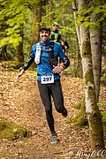 IMG_3783.jpg