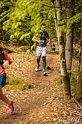 IMG_3870.jpg