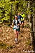 IMG_3911.jpg