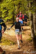 IMG_3952.jpg