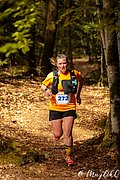 IMG_4005.jpg