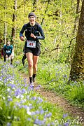 IMG_4464.jpg