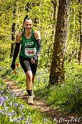 IMG_4512.jpg