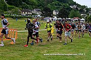 DSC 0021.jpg
