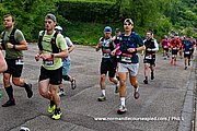 DSC 0117.jpg