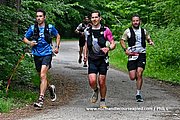 DSC 0176.jpg