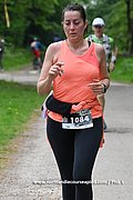 DSC 0935.jpg