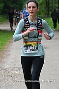 DSC 2530.jpg
