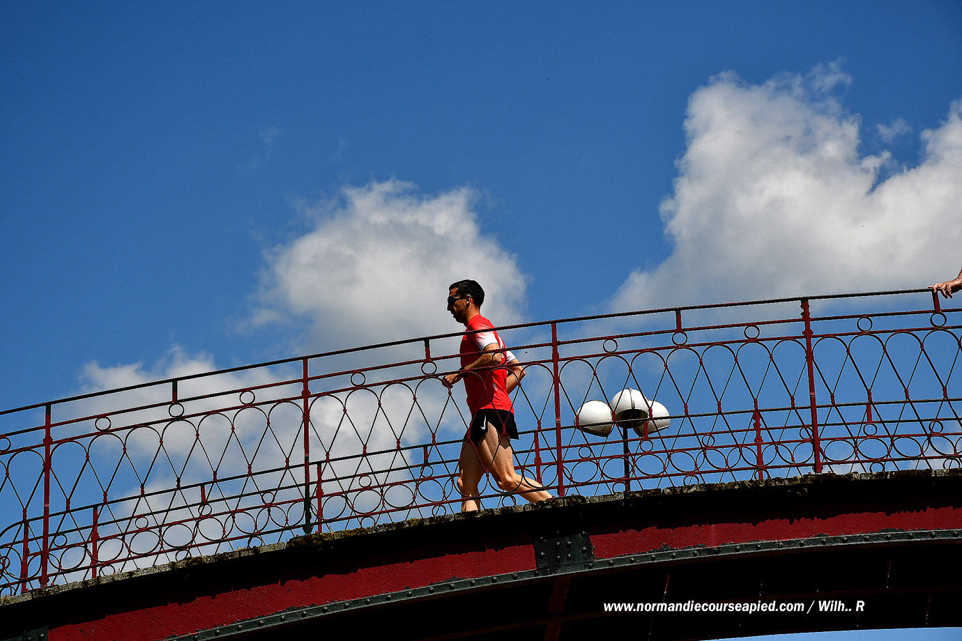 WR-DSC_2830.jpg