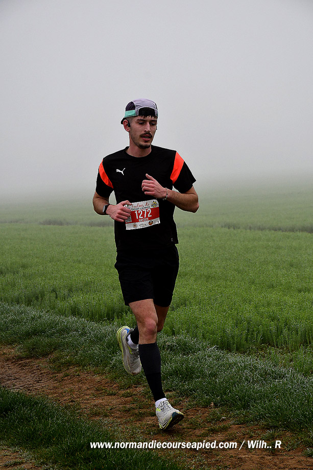 WR-DSC_6652.jpg