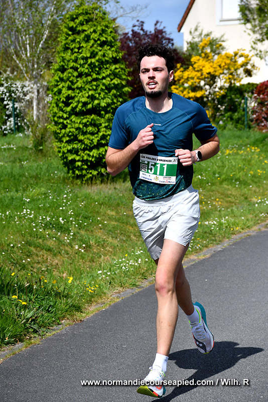 WR-DSC_8146.jpg